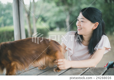 female, lady, woman 24288016