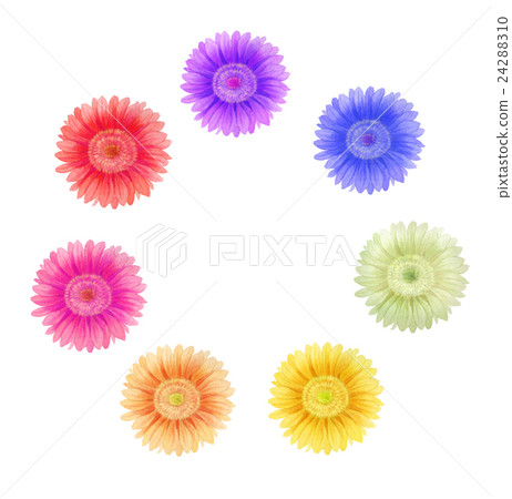 Colorful Flower · Yen Colorful Flower · Yen 24288310