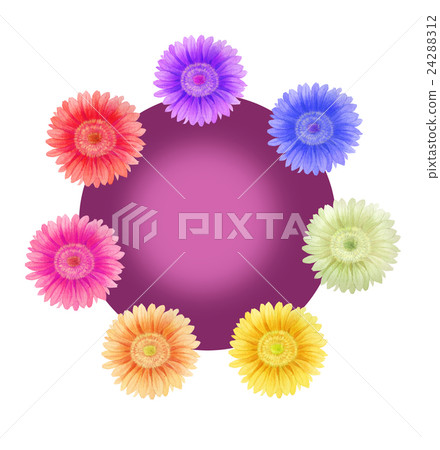 Colorful Flower Pink Colorful Flower Pink 24288312
