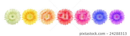 Colorful Flower Line Colorful Flower Line 24288313