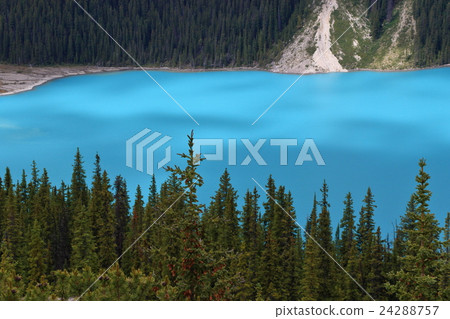 Canadian Rockies: Bow Lake 24288757