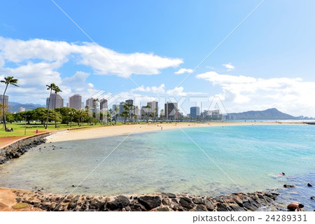 夏威夷的假期 夏威夷的假期 24289331