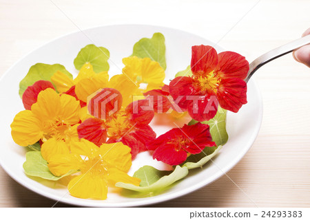 在盤的橙色和黃色花綻放 24293383