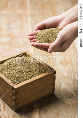 Various Grains, Seeds and Nuts 24295101