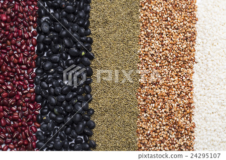 Various Grains, Seeds and Nuts 24295107