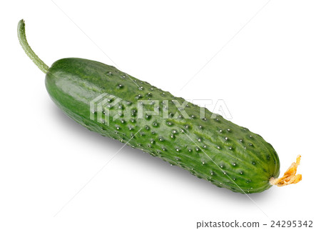 cucumber isolated on a white background with cucumber isolated on a white background with 24295342