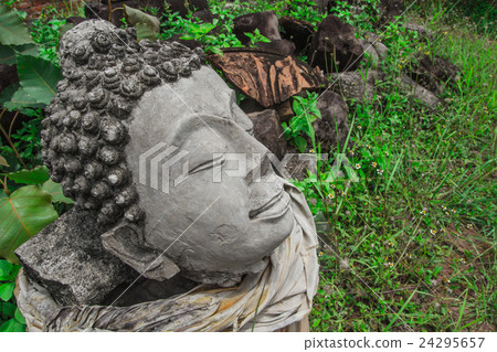 Buddha 24295657