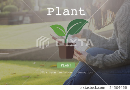 Plant Trees Ecology Environmental Conservation Growing Concept Plant Trees Ecology Environmental Conservation Growing Concept 24304466