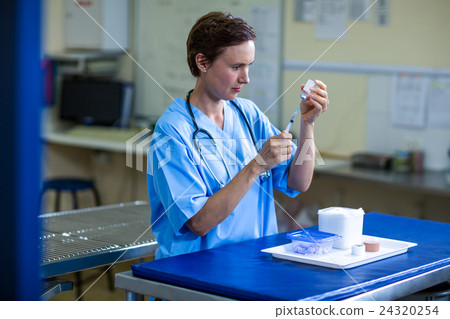 A woman vet preparing a syringe A woman vet preparing a syringe 24320254