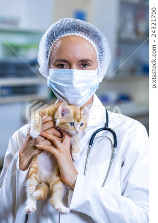 Portrait of vet with mask holding a cute kitten Portrait of vet with mask holding a cute kitten 24321700