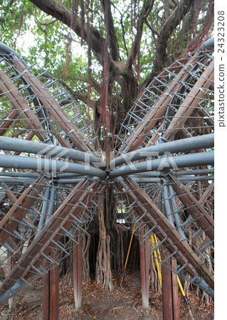 Taitung Kids Story House 24323208