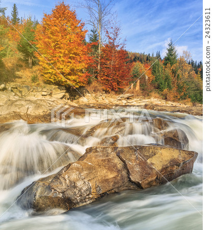beautiful fast mountain river in autumn forest beautiful fast mountain river in autumn forest 24323611