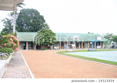 Tree elementary school 24323834