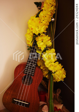 Da'an District Taipei Taiwan 24324044