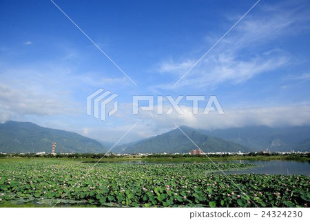 slope pool slope pool 24324230