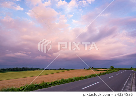 Hill of Biei in Hokkaido Road of patchwork Wheat field in the evening Hill of Biei in Hokkaido Road of patchwork Wheat field in the evening 24324586