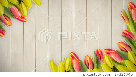 Composite image of yellow tulips 24325740