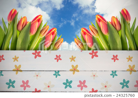 Composite image of tulip flowers 24325760