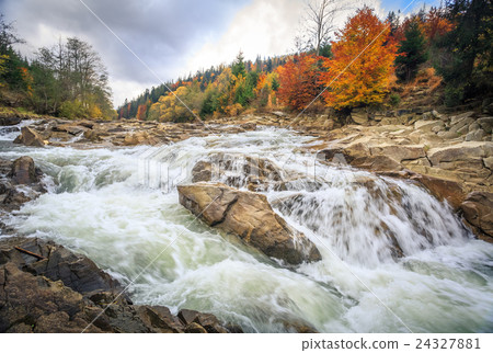 beautiful fast mountain river in autumn forest 24327881