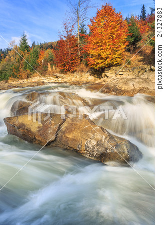 beautiful fast mountain river in autumn forest 24327883