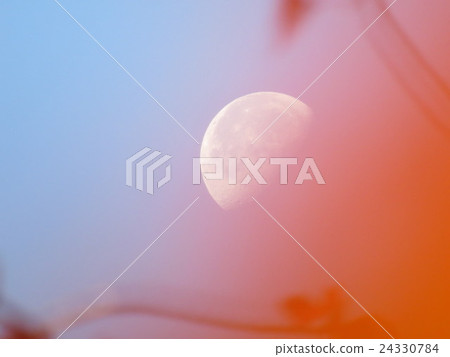 月亮和秋天的落葉 月亮和秋天的落葉 24330784
