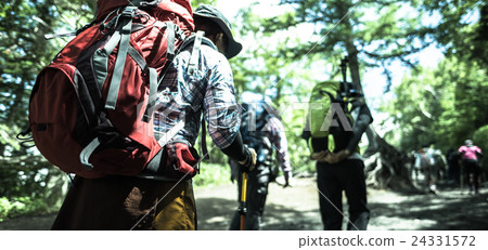Climbing Climbing 24331572