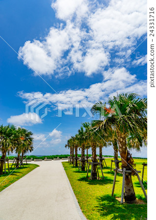 [Okinawa Prefecture] Senagajima Umikaji Terrace 24331716