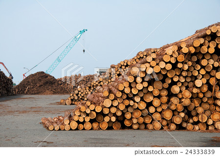 Harbor storage 24333839