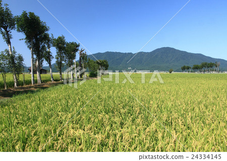 Countryside scenery in Niigata 24334145