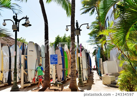 Holidays in Hawaii 24334597