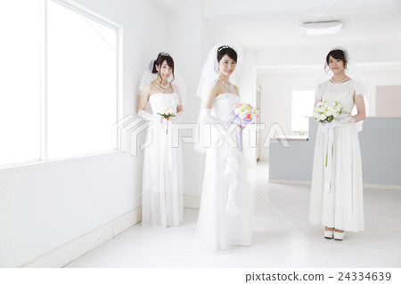 新娘和新郎婚禮褂子女儐相婚禮婚禮婚禮 24334639