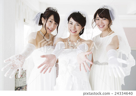 新娘和新郎婚禮褂子女儐相婚禮婚禮婚禮 24334640