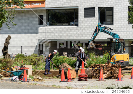 Logging in the park 24334665