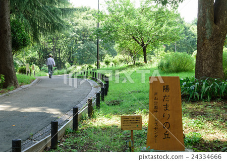 Toyama Park Yodamari no Oka 24334666