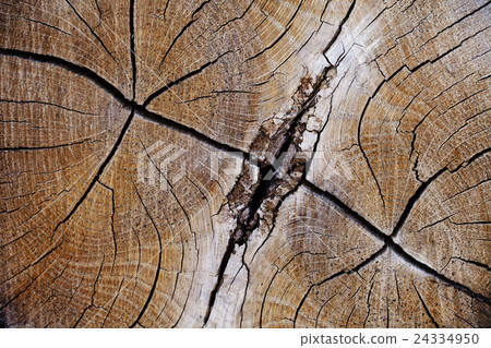 wood texture, grunge, cracked, high-resolution 24334950