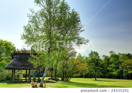 Fuji from the West Lake wild bird forest park 24335201