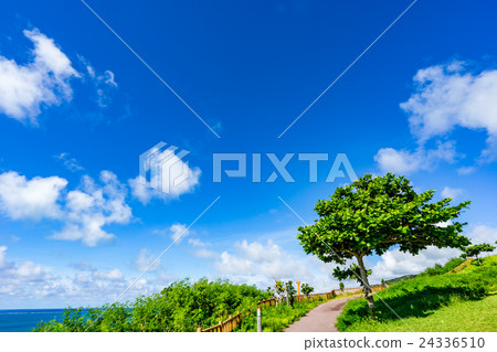 [Okinawa Prefecture] Cape Chinen Park 24336510