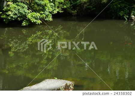 筑波山神社池塘 筑波山神社池塘 24338302