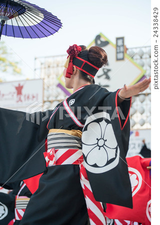 Tosa's summer Yosakoi festival is fun Yosakoi 2016 Late night festival national convention Kochi Castle venue Tosa's summer Yosakoi festival is fun Yosakoi 2016 Late night festival national convention Kochi Castle venue 24338429