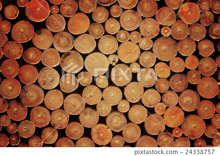 Wood log pile background Wood log pile background 24338757