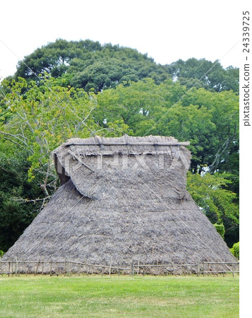 Azuka廢墟 24339725