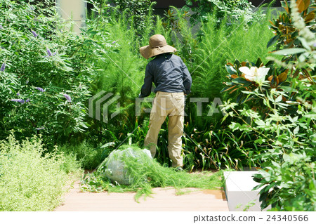 A woman who takes care of the garden 24340566