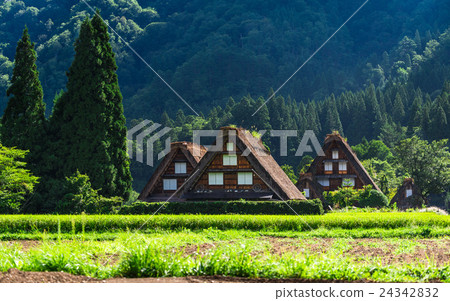 World Heritage Shirakawago Goseisaku Village 24342832