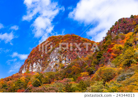 Autumn leaves from autumn's Irohazaka in Nikko Tochigi prefecture (October) 24344013