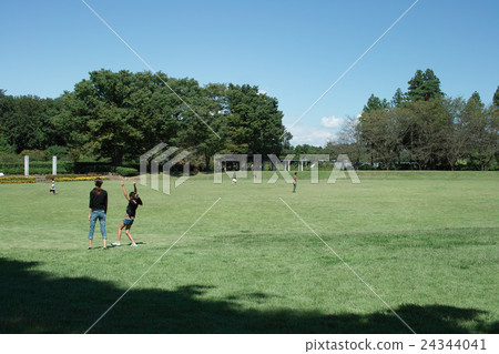 初秋的公園 24344041