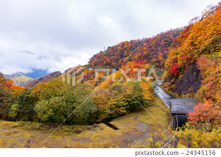在栃木縣日光市的Ichihosaka（10月） 24345156