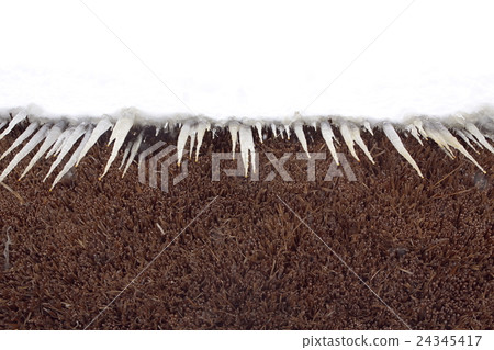厚重雪域的冰柱 厚重雪域的冰柱 24345417