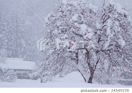 世界遺產埋在雪中 世界遺產埋在雪中 24345570