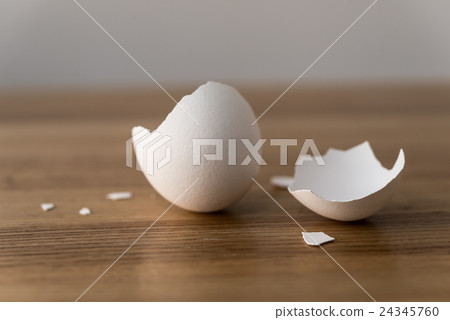 shell shell 24345760