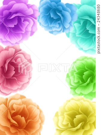 彩虹玫瑰4 彩虹玫瑰4 24348680